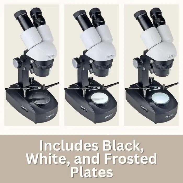 Gemoro Elite 1030 LED Microscope