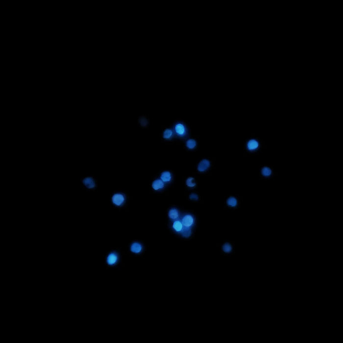 Gemetrix Dove Lab Grown Diamond Detector