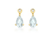 9ct Yellow Gold 0.01t Diamond and Aquamarine Pear Drop Earrings