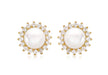 9ct Yellow Gold 12mm Pearl and Zirconia  Cluster Stud Earrings