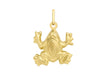 9ct Yellow Gold Frog Pendant