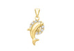 9ct Yellow Gold Dolphin & Hoop Zirconia  Pendant