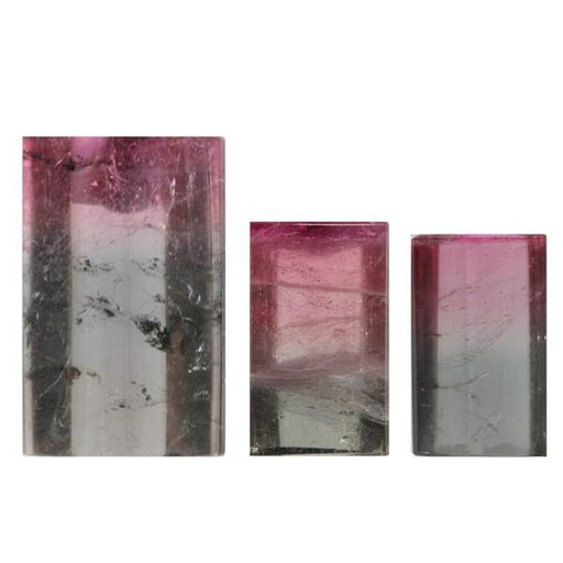 31.84ct Set of 3 Cabochon Barrel Cut Watermelon Tourmalines - Dynagem 