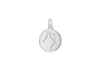 Sterling Silver Zirconia  12mm x 18.5mm Libra Constellation  Disc Pendant