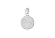 Sterling Silver Zirconia  12mm x 18.5mm Pises Constellation  Disc Pendant