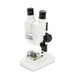 Professional Laboratory Binocular Stereo Microscope 10X LED High Power Magnifying Glass Clear - Dynagem 