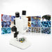 Professional Laboratory Binocular Stereo Microscope 10X LED High Power Magnifying Glass Clear - Dynagem 