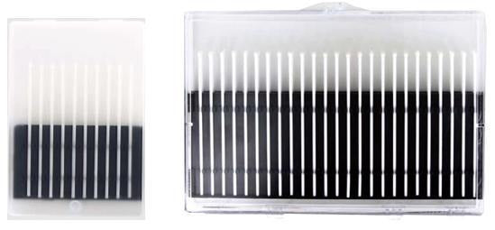 Adhesive Head Swabs - Dynagem 